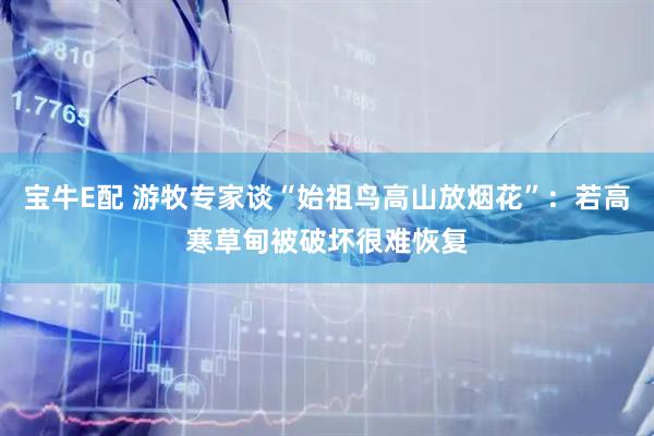宝牛E配 游牧专家谈“始祖鸟高山放烟花”：若高寒草甸被破坏很难恢复