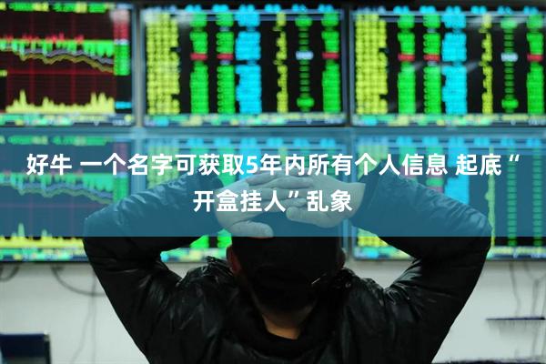 好牛 一个名字可获取5年内所有个人信息 起底“开盒挂人”乱象