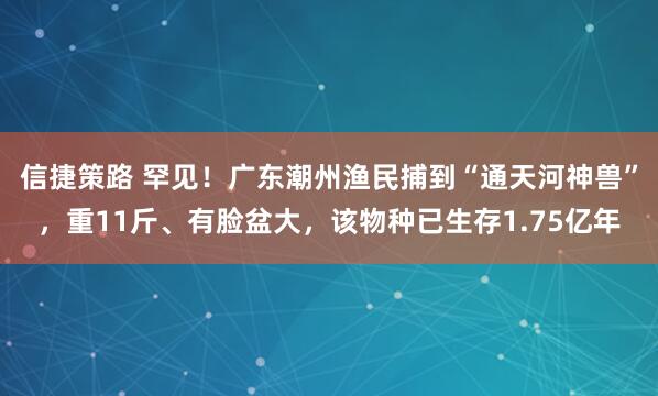 信捷策路 罕见！广东潮州渔民捕到“通天河神兽”，重11斤、有脸盆大，该物种已生存1.75亿年