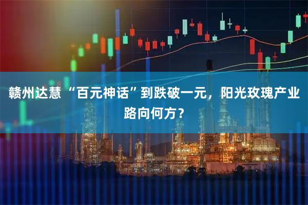 赣州达慧 “百元神话”到跌破一元，阳光玫瑰产业路向何方？