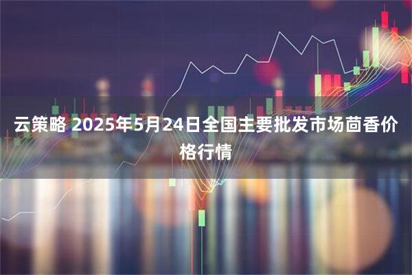 云策略 2025年5月24日全国主要批发市场茴香价格行情